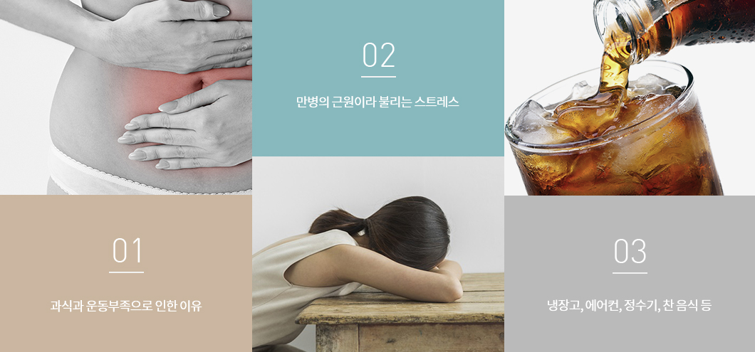 01. 과식과 운동부족으로 인한 이유, 02. 만병의 근원이라 불리는 스트레스, 03. 냉장고, 에어컨, 정수기, 찬 음식 등