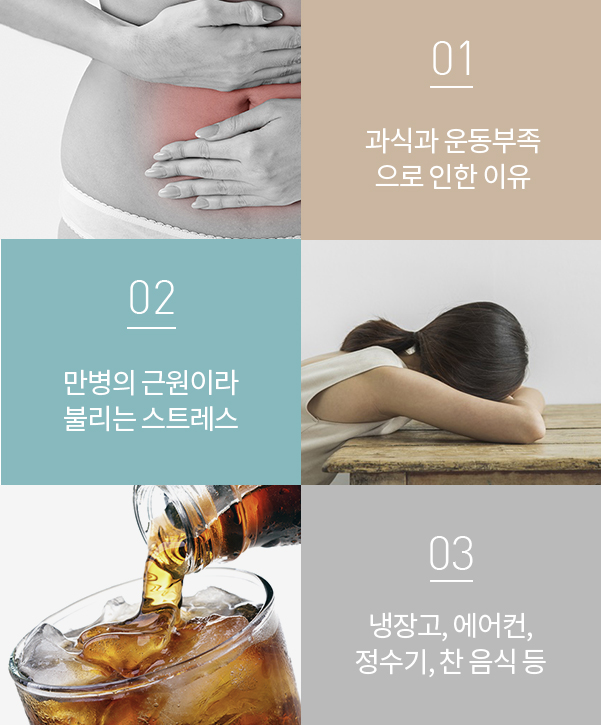 01. 과식과 운동부족으로 인한 이유, 02. 만병의 근원이라 불리는 스트레스, 03. 냉장고, 에어컨, 정수기, 찬 음식 등